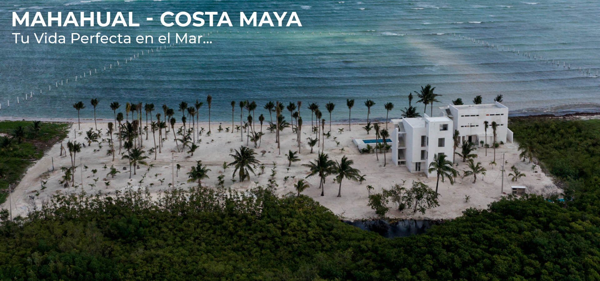 Costa-Maya-Gobal-2025-Gallery-A4_1